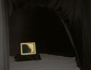 Golden Seed installation photo
