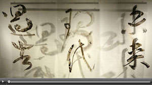 Brush the Sky gallery exhibit video
