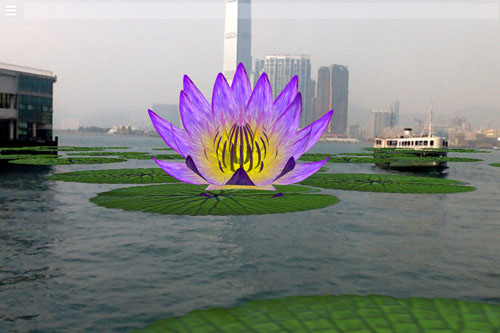 Water Lily Invasion augmented reality installation